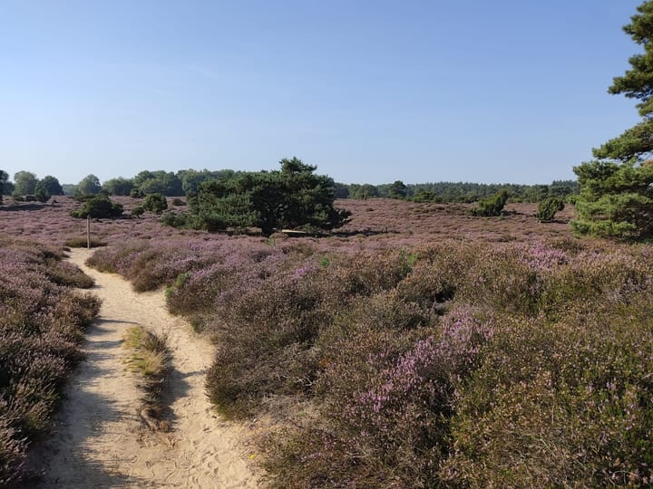 Photo 3 of Hoogte der Heide 10-6