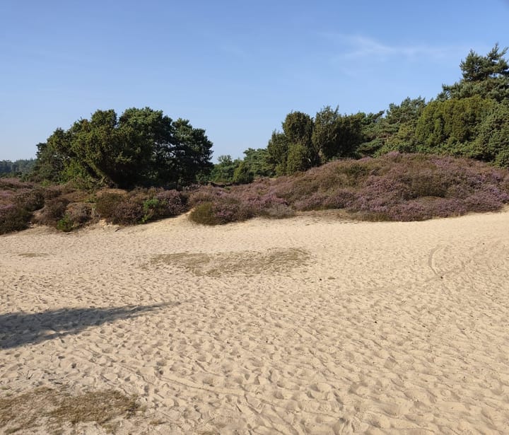 Photo 4 of Hoogte der Heide 10-6
