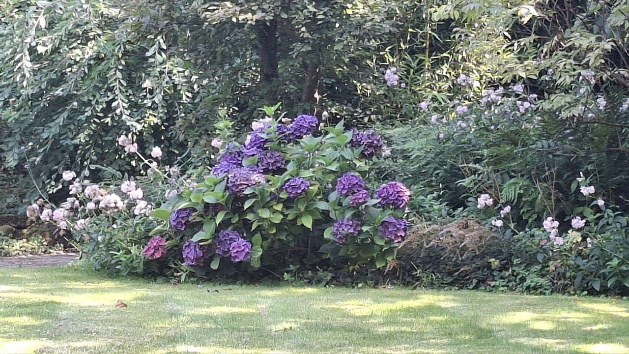 Foto 40 van Golfpad 16