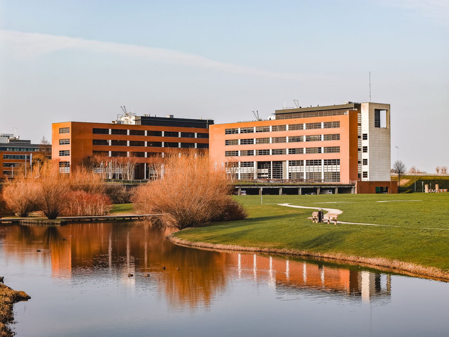 Bekijk foto 1 van Beechavenue 97-115