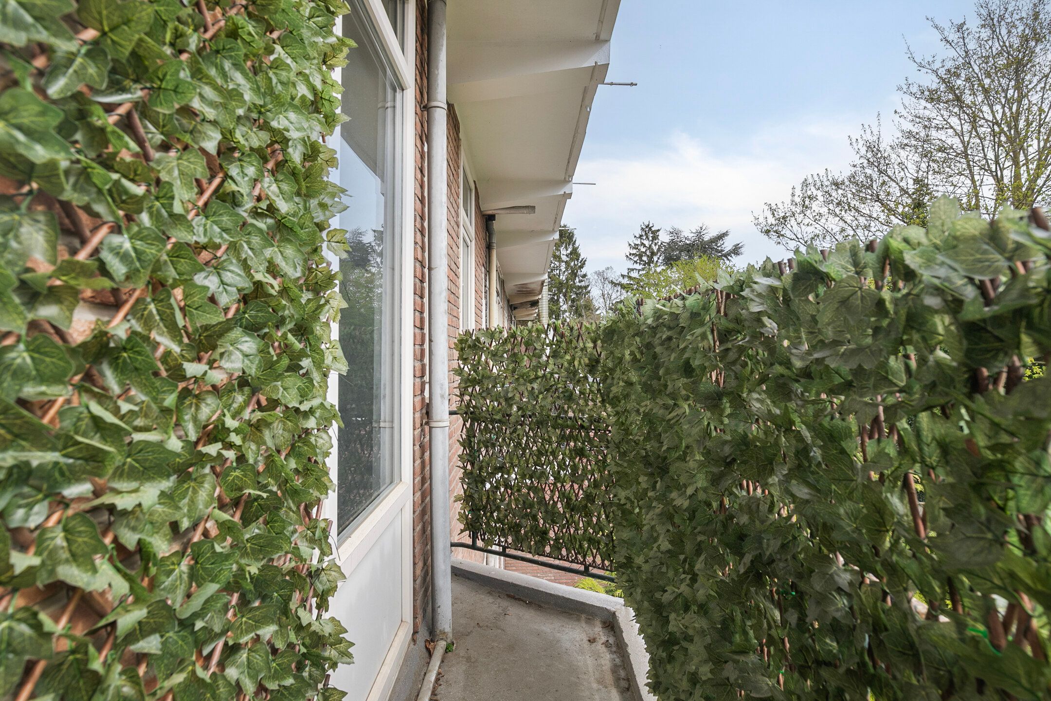 Photo 21 of Dorpsweg 156-A