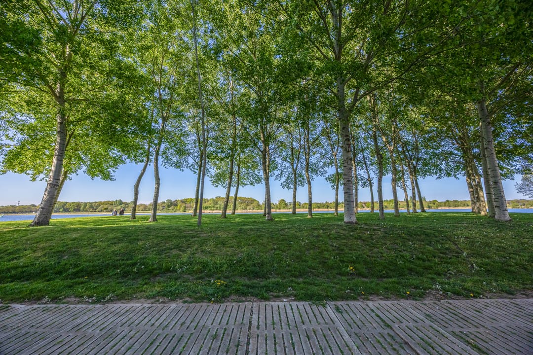 Foto 41 van Veldoven 11