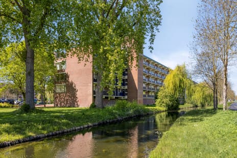Opaalstraat thumbnail