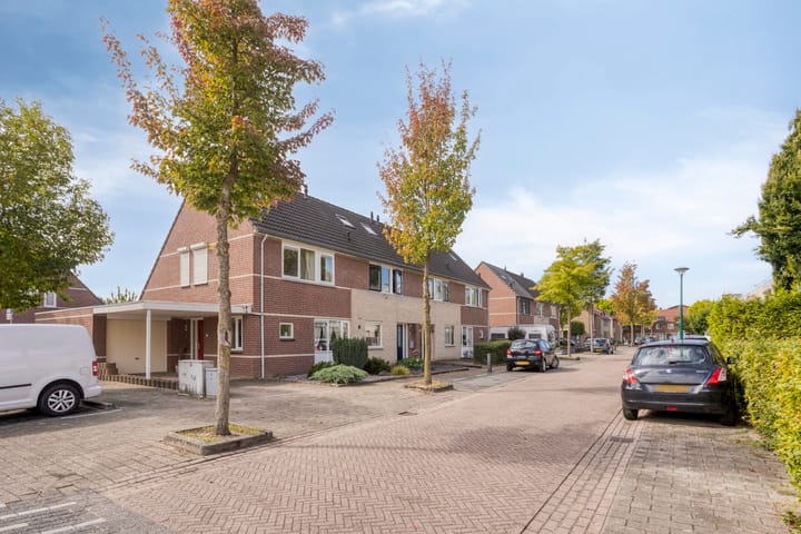 Foto 5 van Kalmoes 17