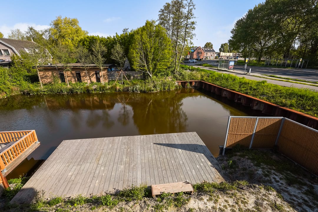 Photo 43 of Pastinaak 127