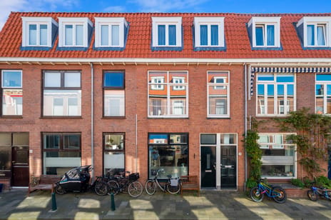 Van Wesenbekestraat thumbnail