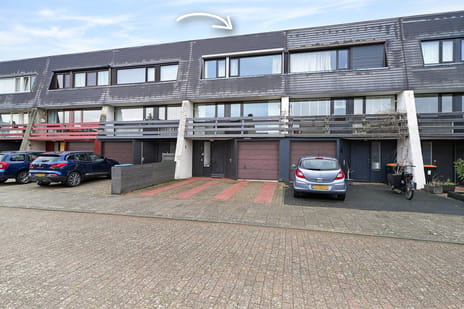 Van Reenenstraat thumbnail