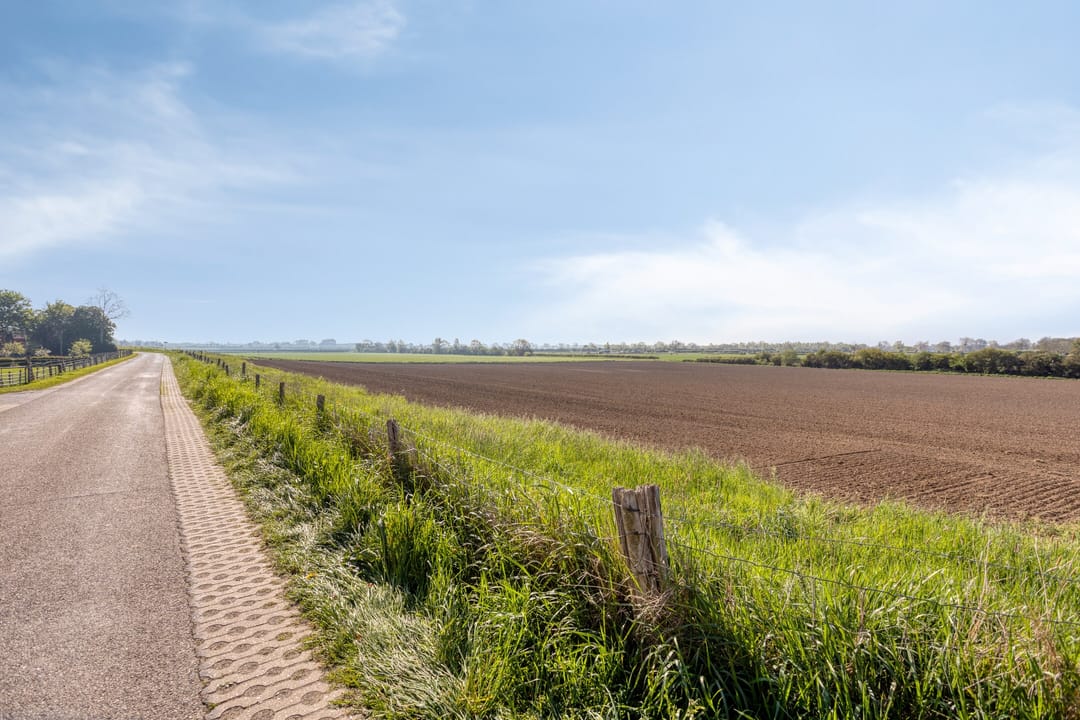 Photo 58 of Maasdijk 11