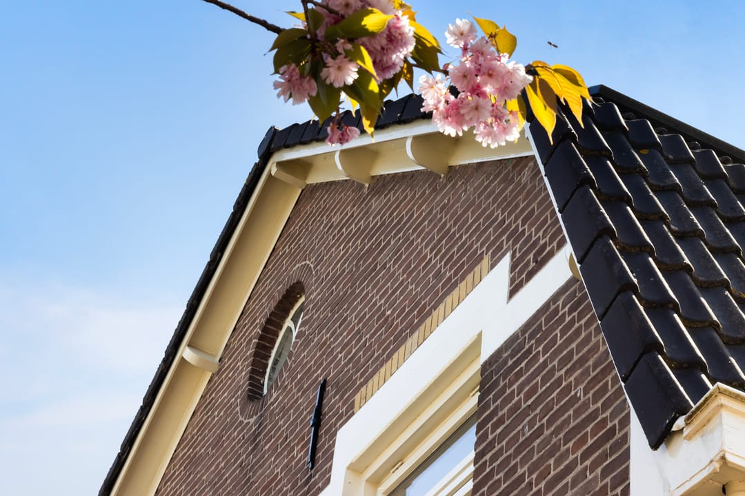 Photo 58 of Zegerijstraat 28