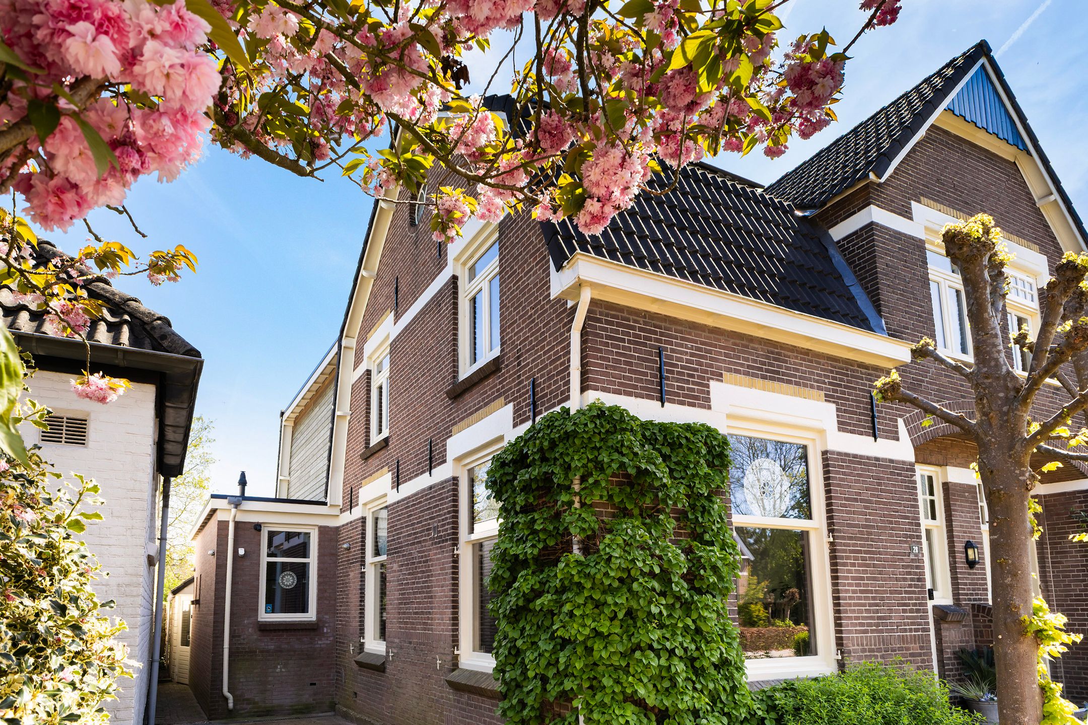 Photo 57 of Zegerijstraat 28