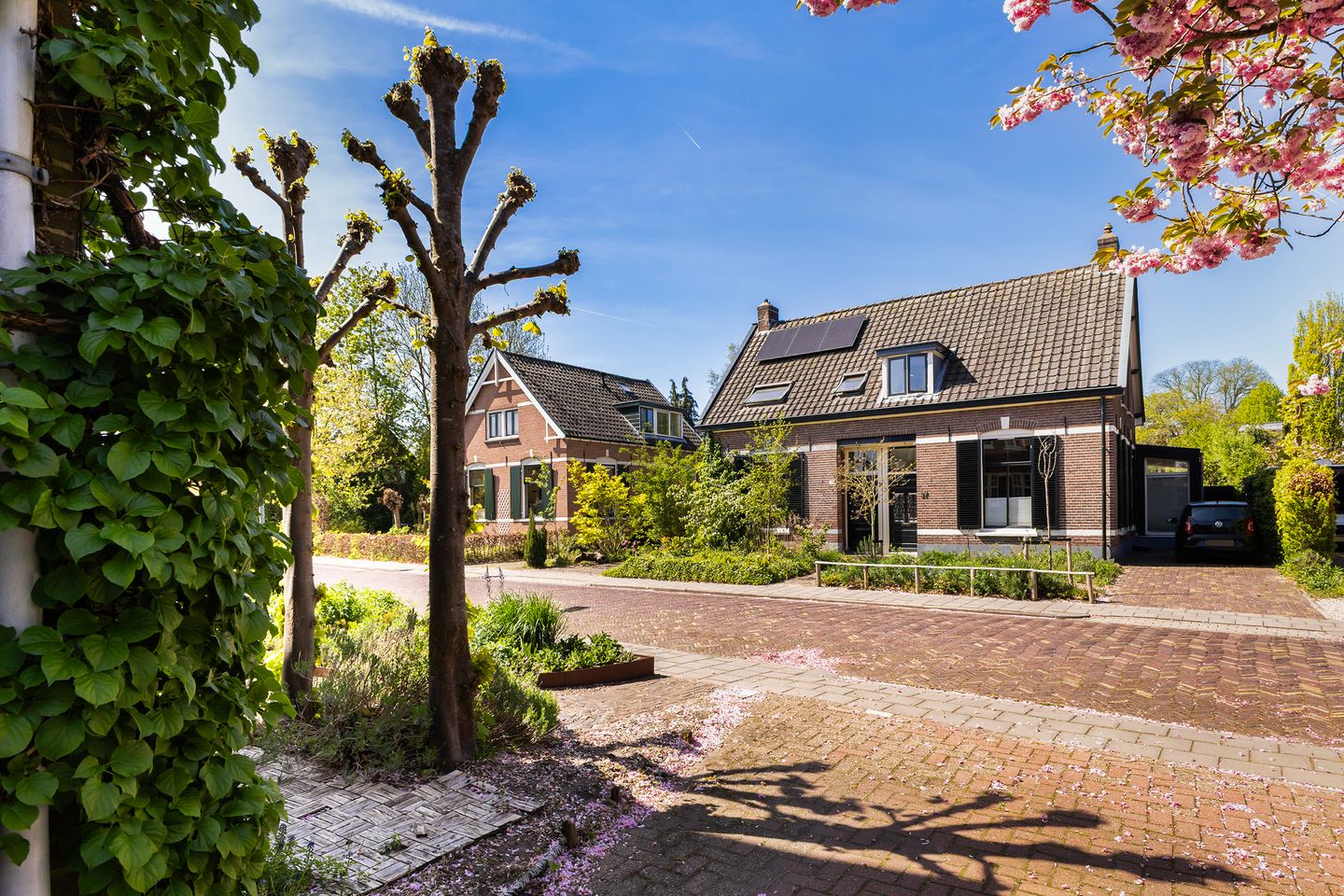 Photo 55 of Zegerijstraat 28