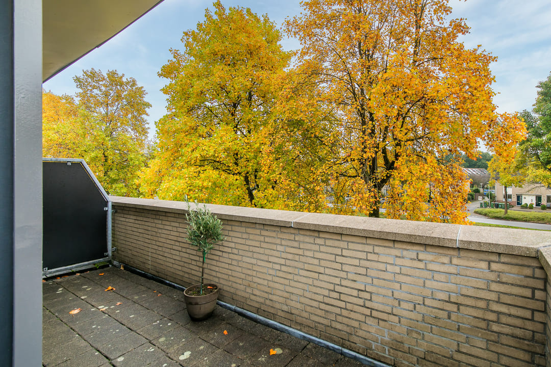 Ruime gezinswoning met 23 meter diepe tuin, garage en dakterras in Zielhorst — 37