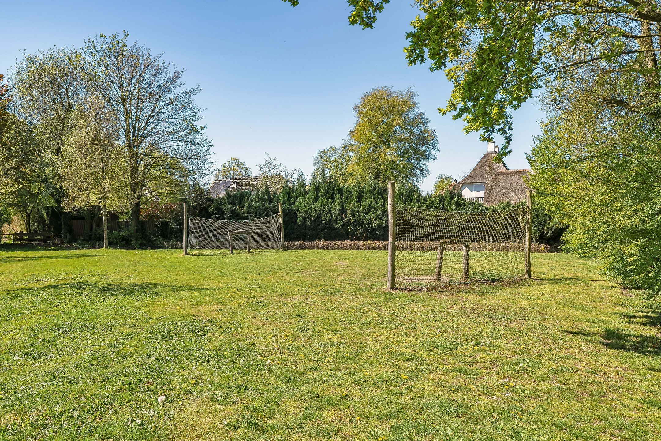 Foto 42 van Traland 37