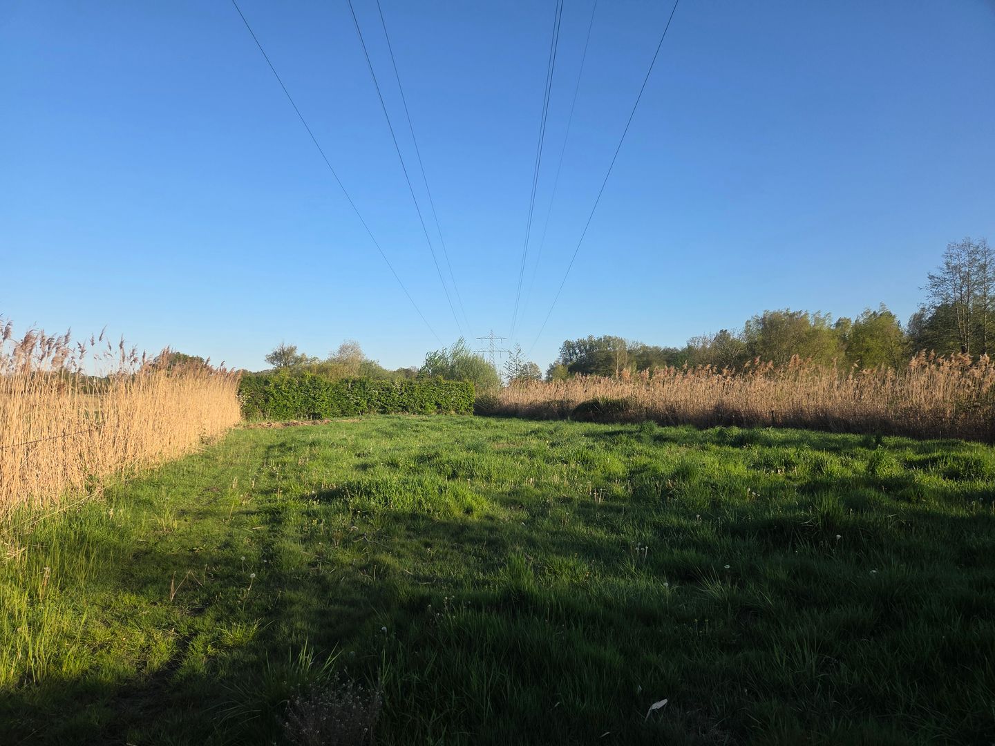 Leenderweg - Heeze - Afbeelding 4