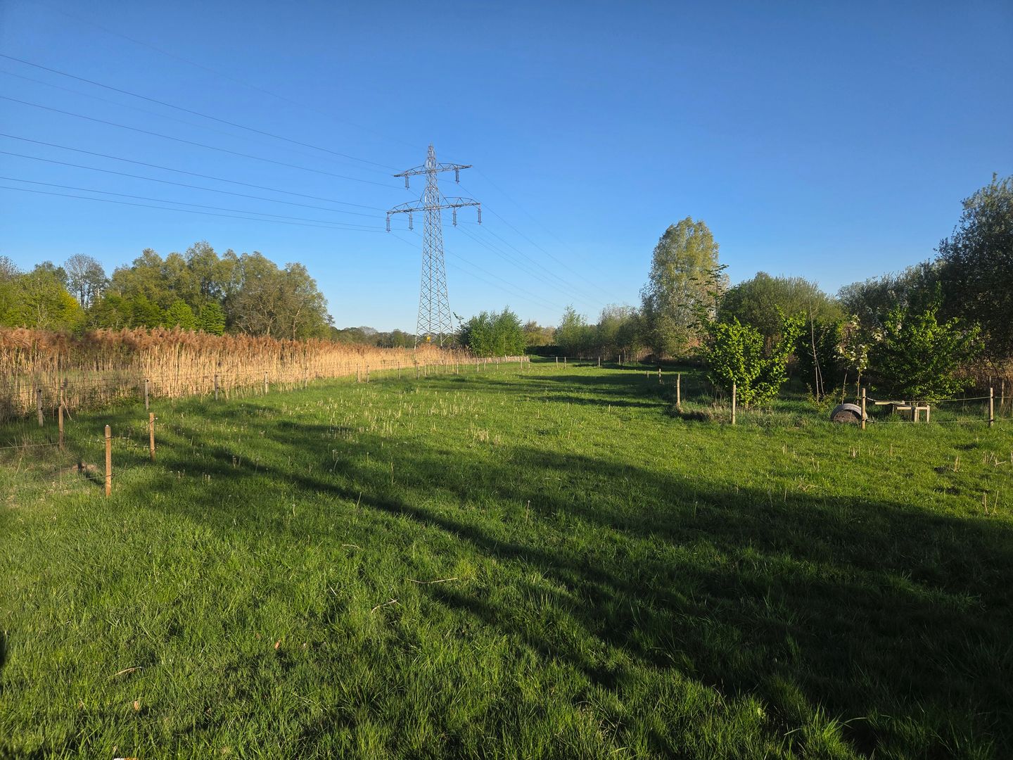 Leenderweg - Heeze - Afbeelding 5