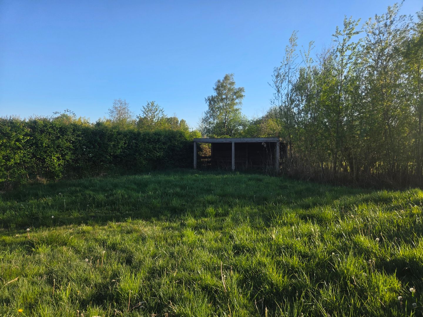 Leenderweg - Heeze - Afbeelding 7