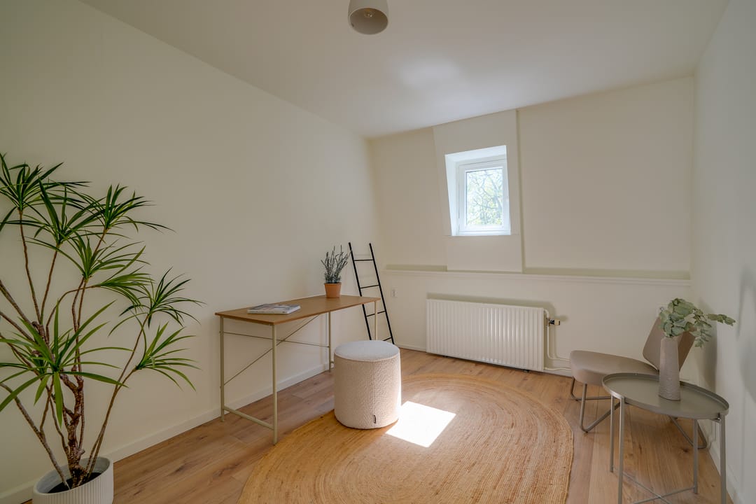 Photo 31 of Alexander Numankade 73-BS