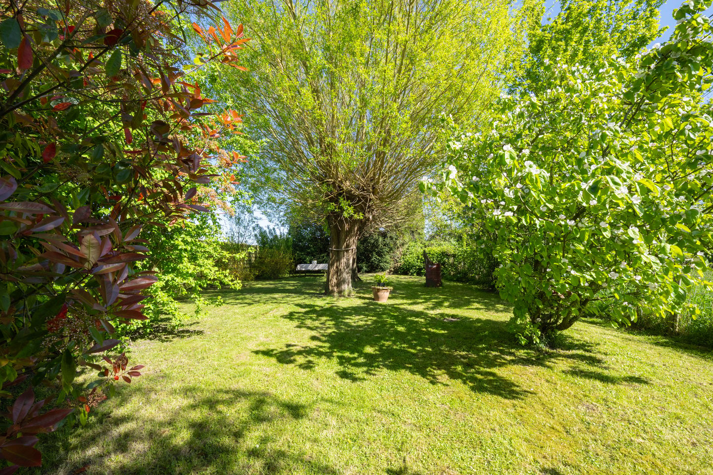 Charming detached home with near park-like garden near the Waal river in Dreumel — 64