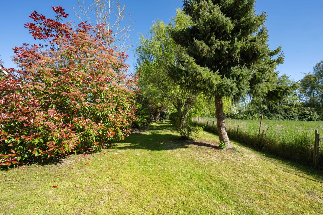 Charming detached home with near park-like garden near the Waal river in Dreumel — 67