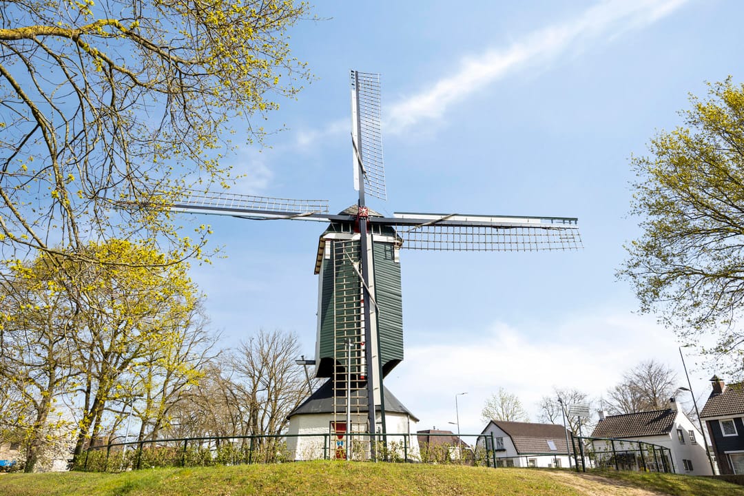 Foto 47 van Michiel de Ruyterlaan 3
