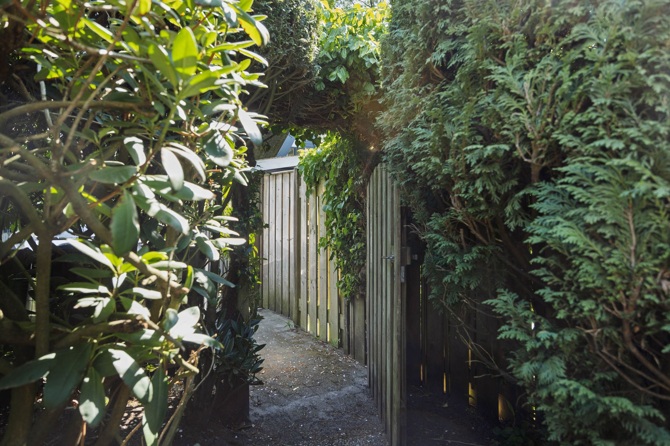 Photo 30 of Tielekeshoeven 24