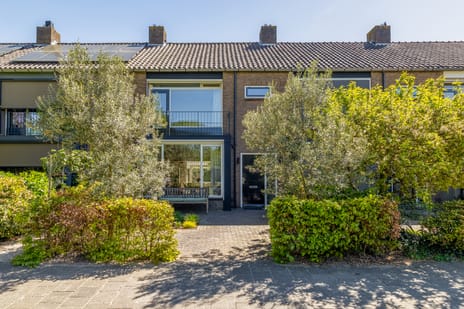 Petrusstraat thumbnail
