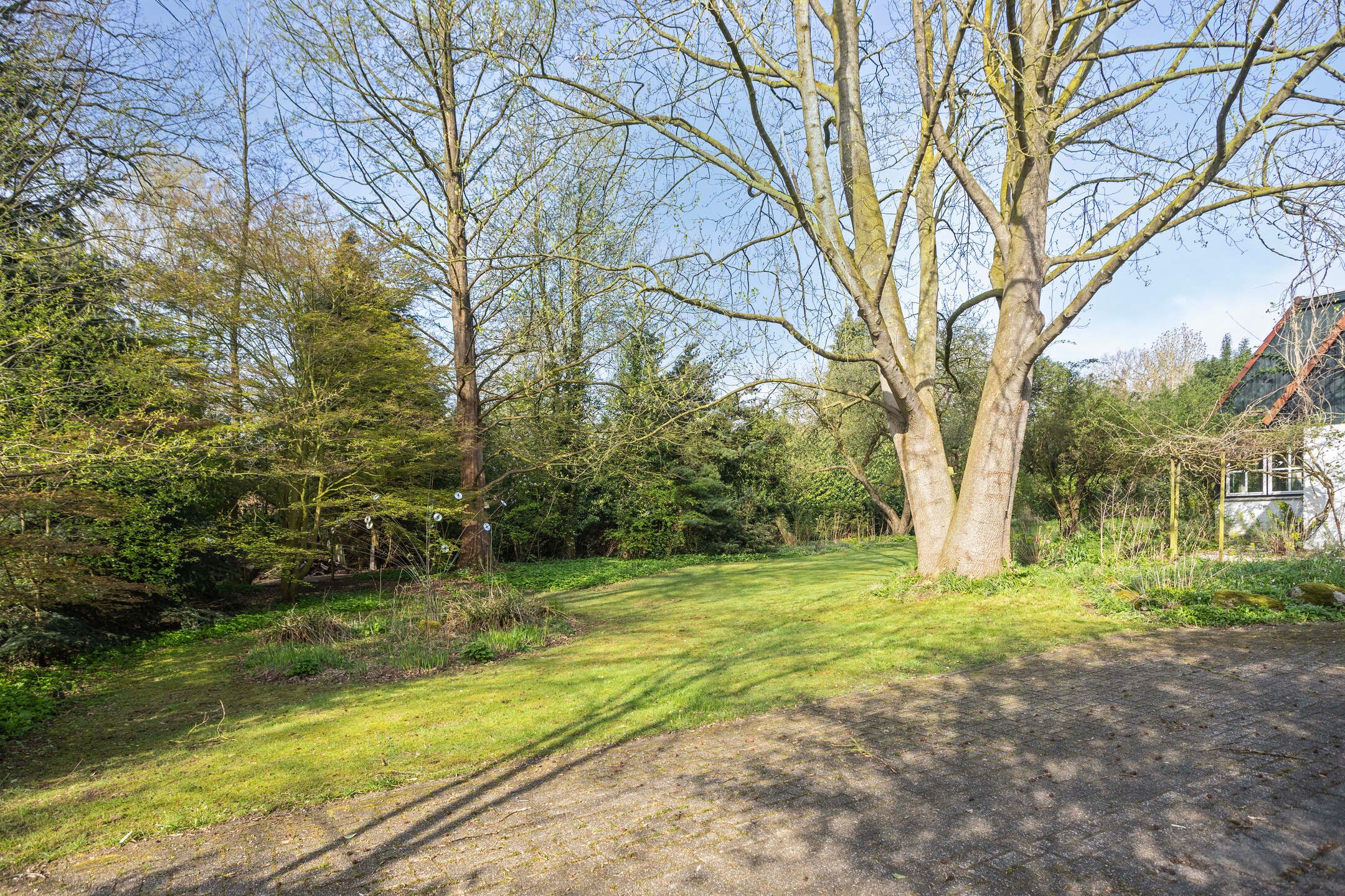 Photo 42 of Oosterstreek 81