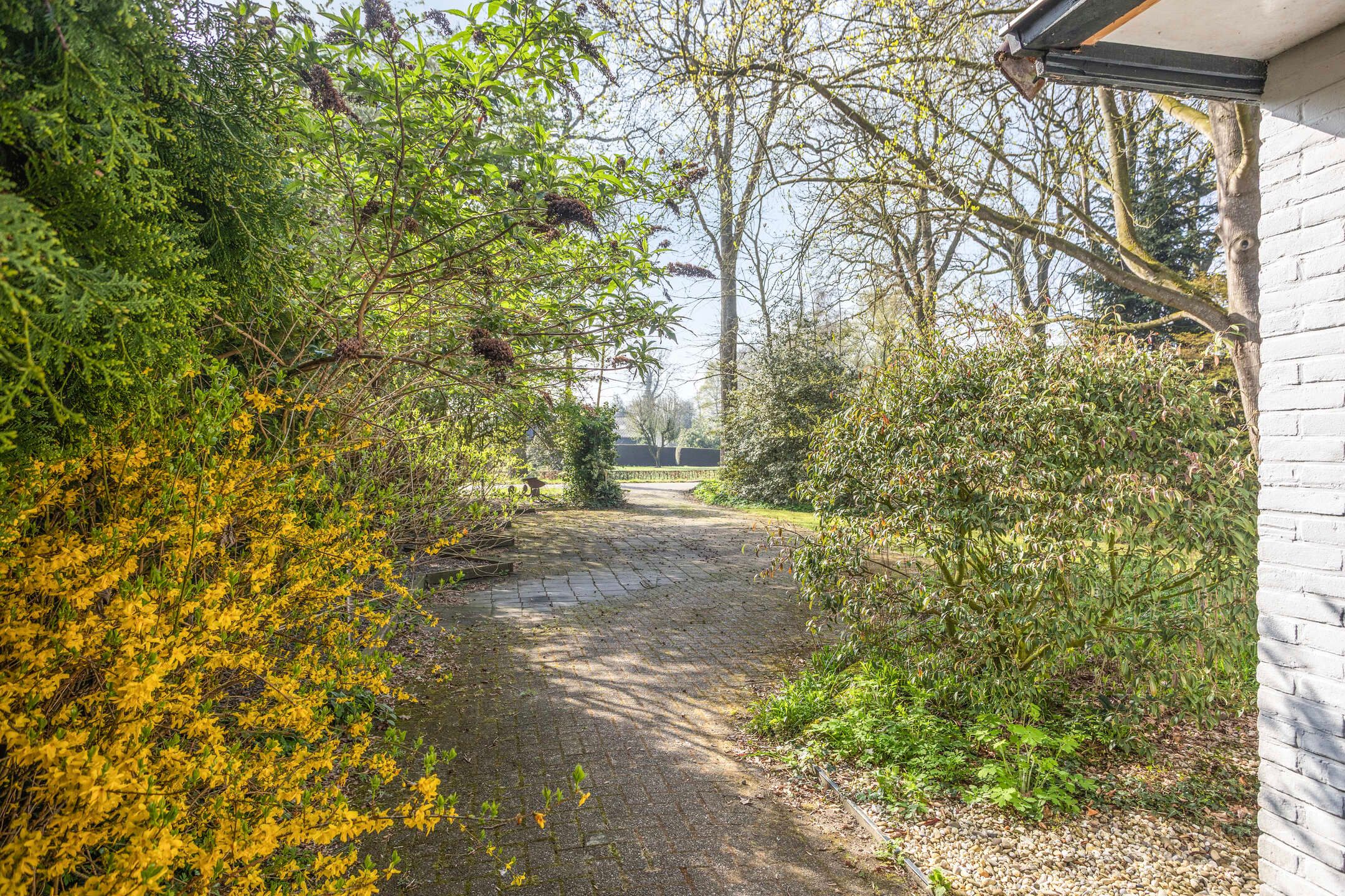 Photo 6 of Oosterstreek 81