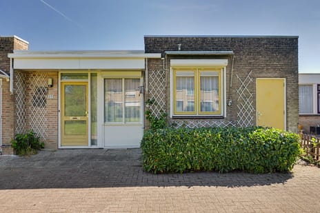 Schaepmanstraat thumbnail
