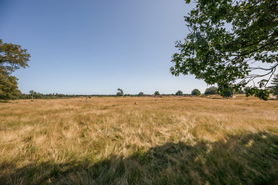 Photo 68 of Oosterstreek 81
