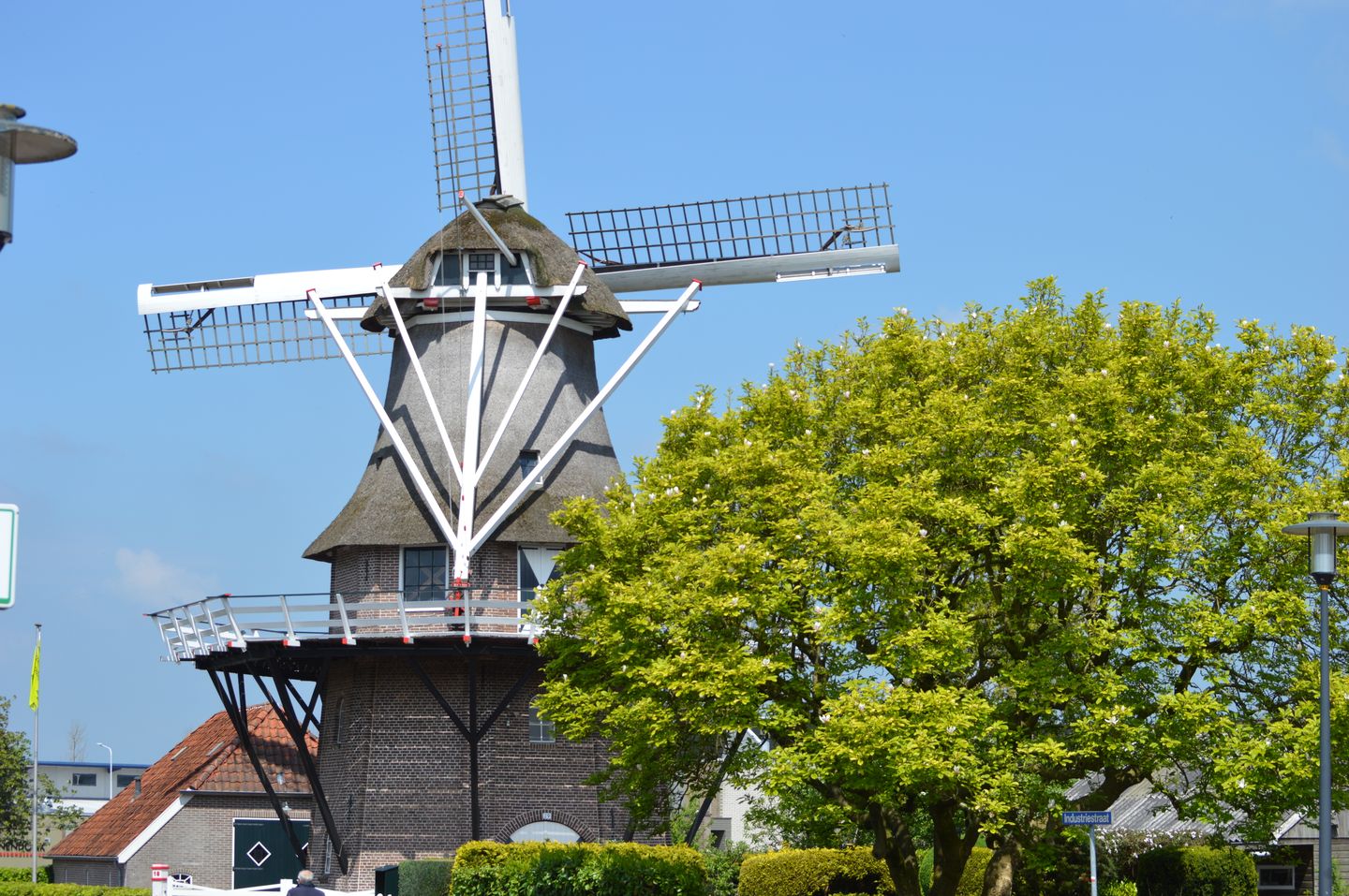 Photo 65 of Oosterstreek 81