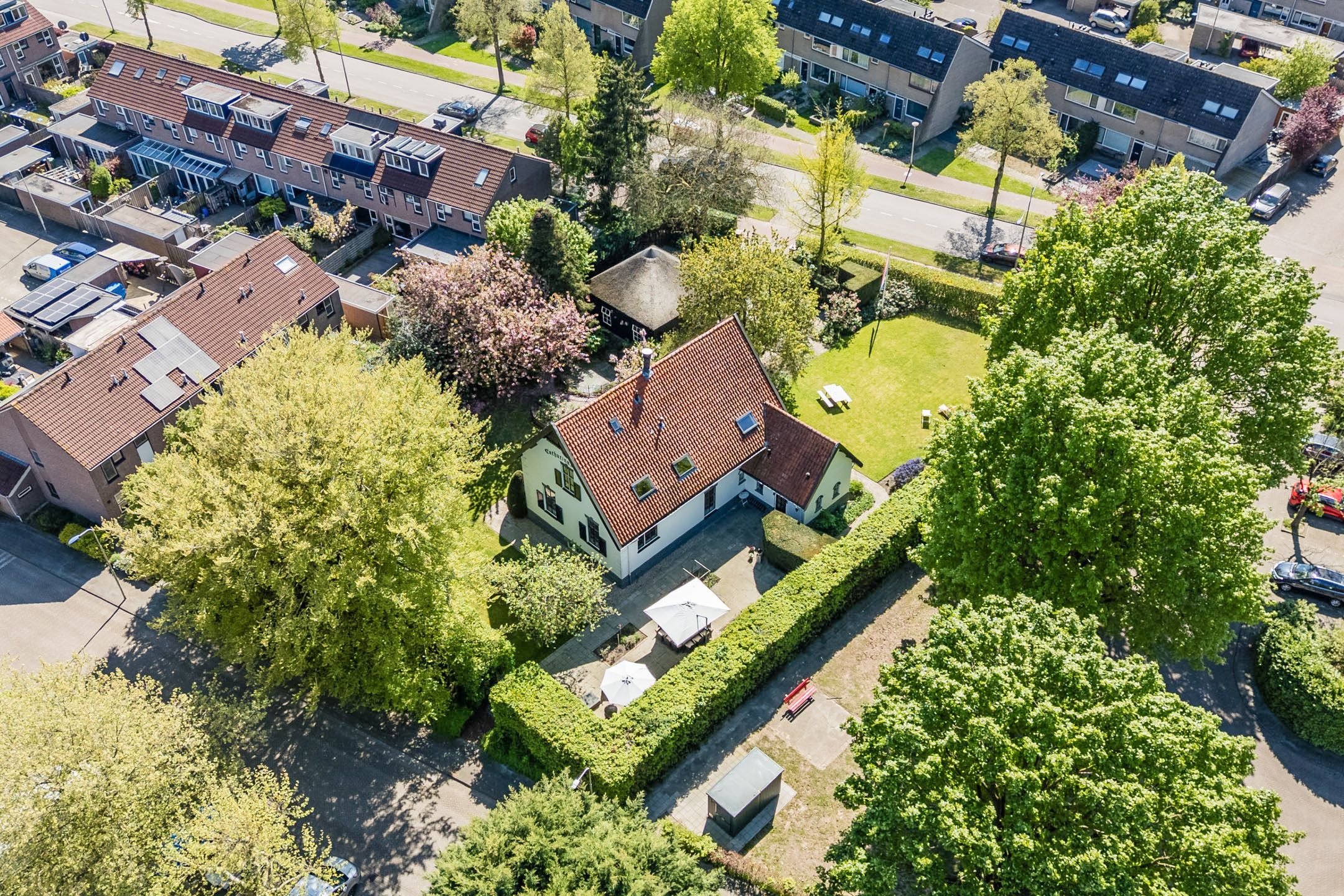 Foto 66 van Linnaeuslaan 88