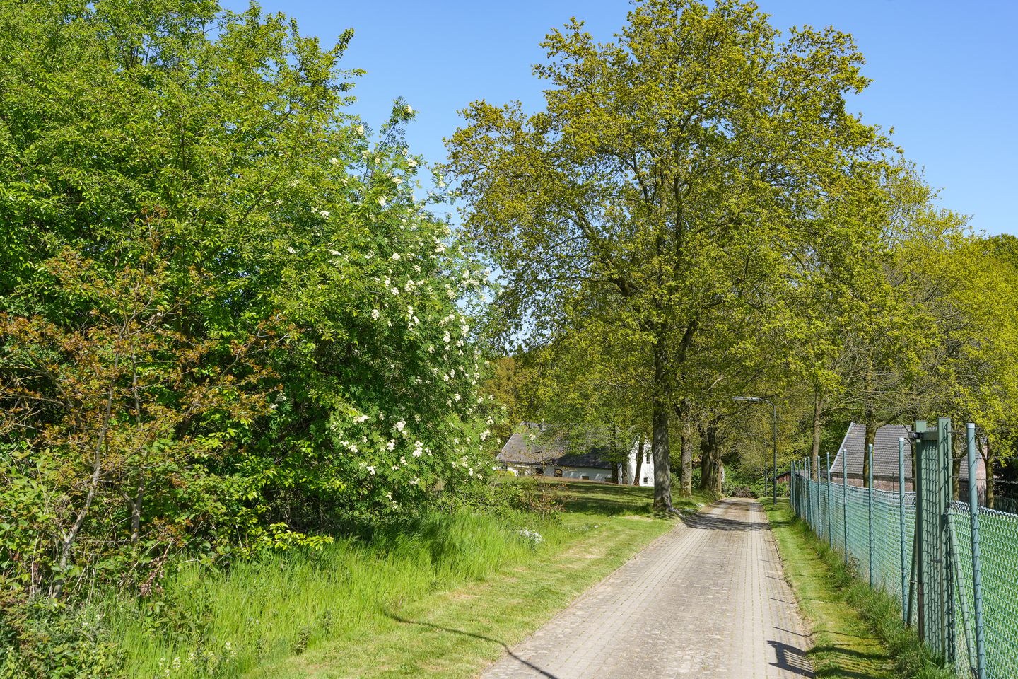 Foto 4 van Zevenheuvelenweg 46