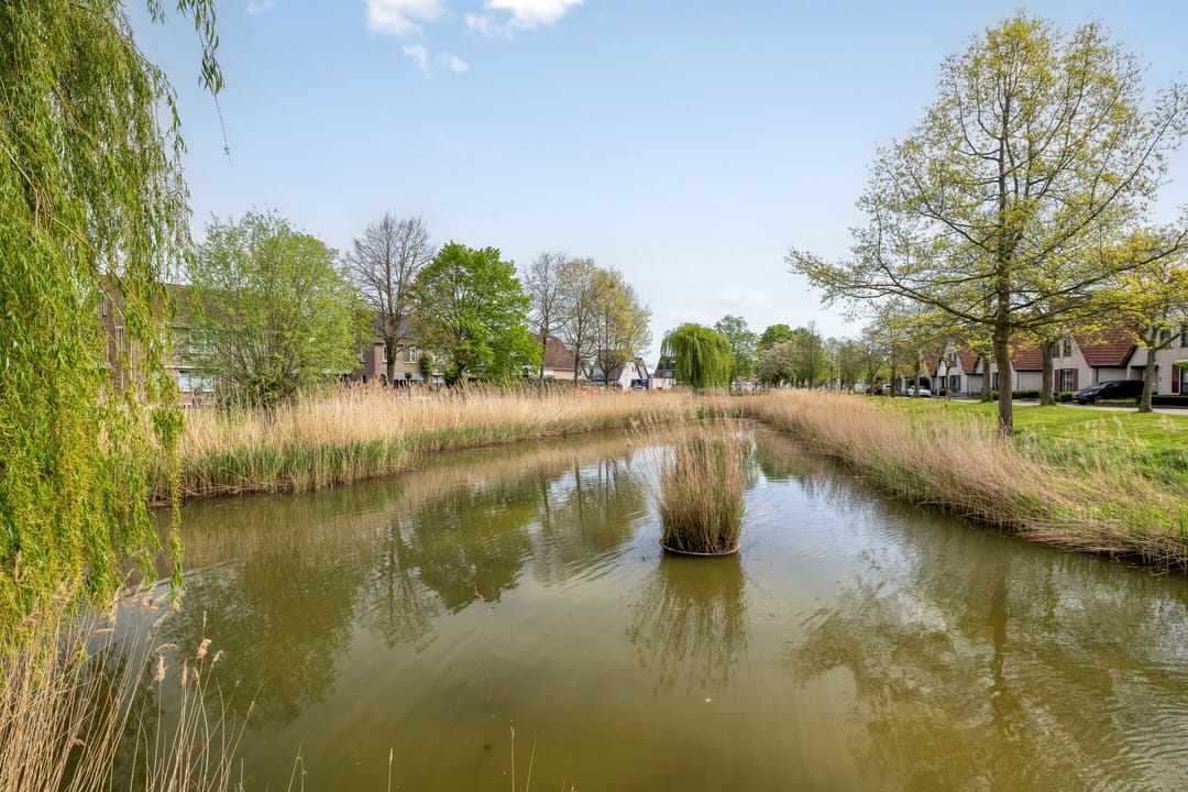 Foto 47 van Vriezendijk 2
