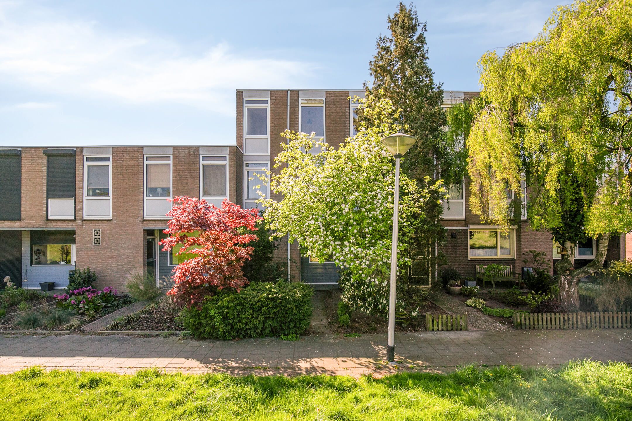 Rogstraat 6 