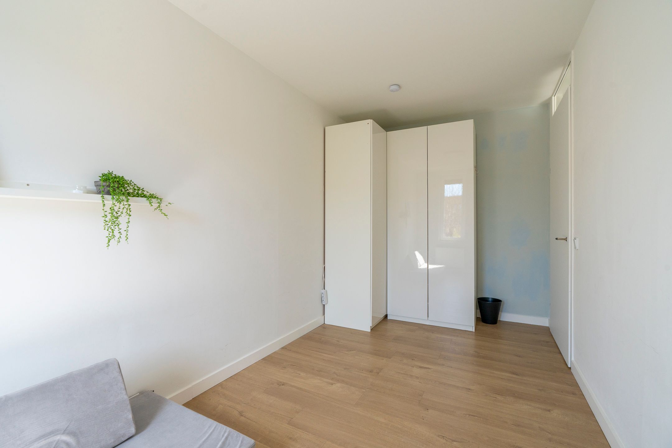 Photo 39 of Satijnvlinder 43