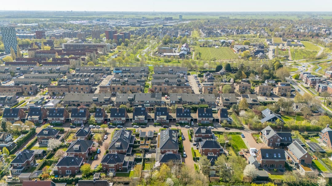 Photo 58 of Satijnvlinder 43