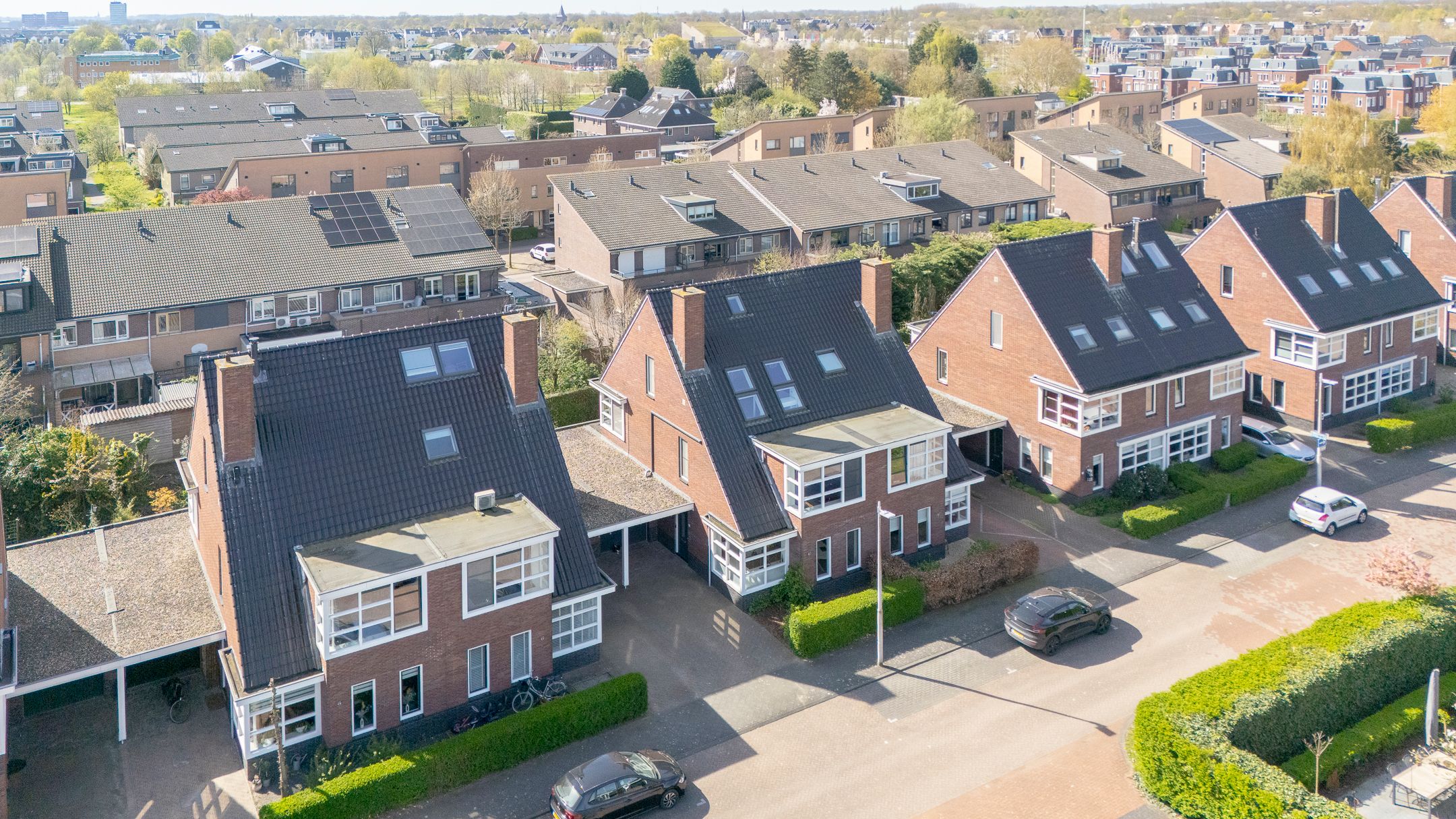 Photo 57 of Satijnvlinder 43