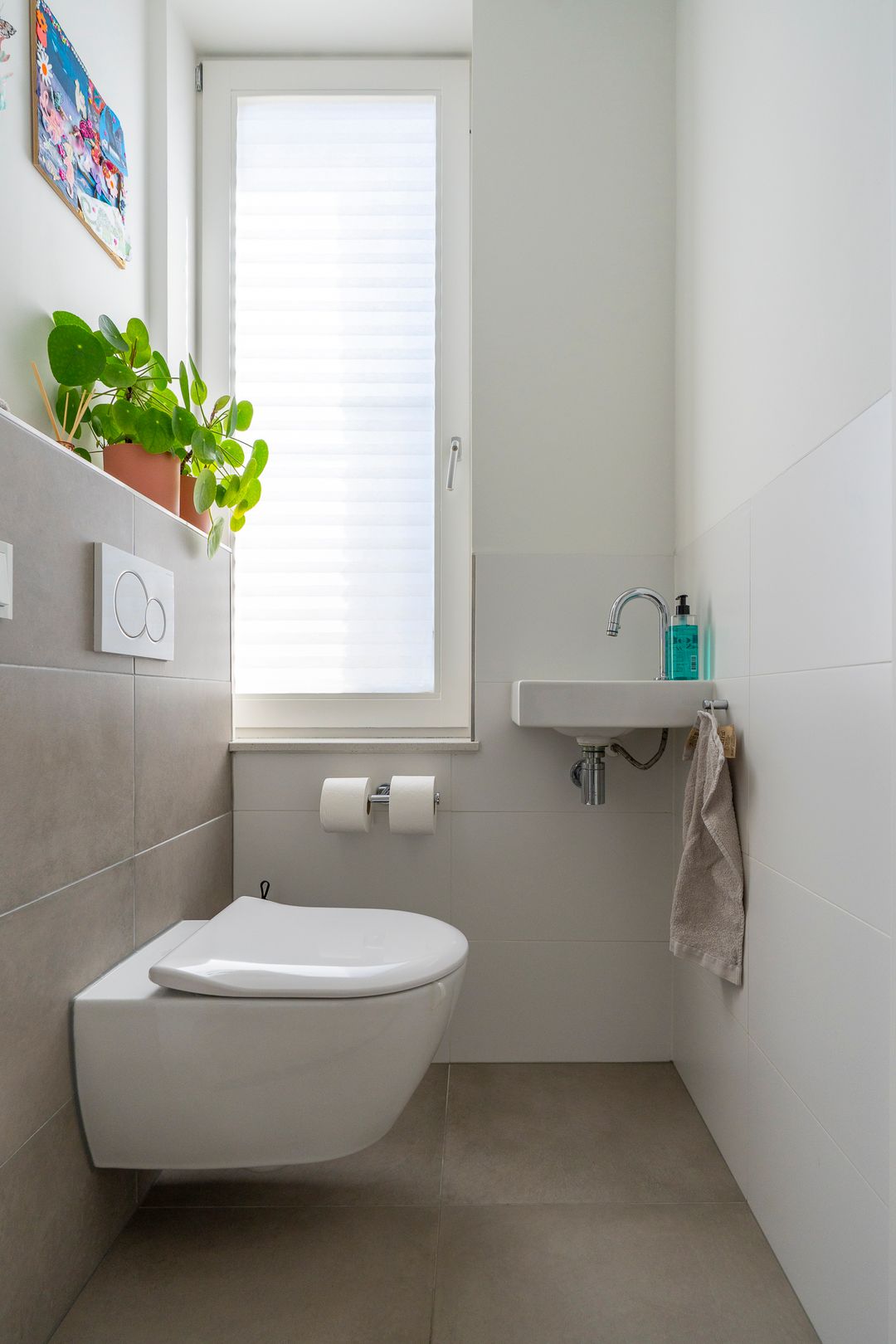 Photo 43 of Satijnvlinder 43
