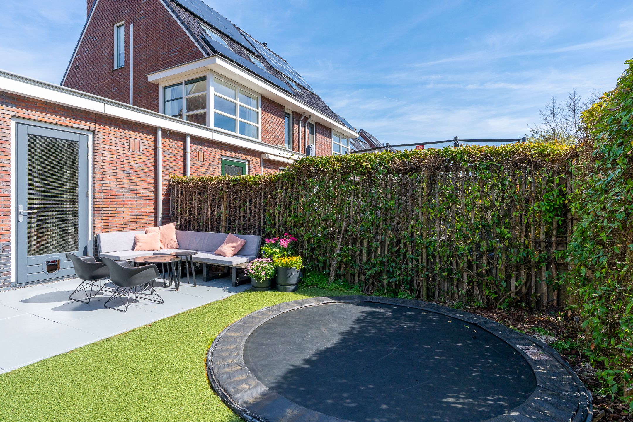 Photo 27 of Satijnvlinder 43