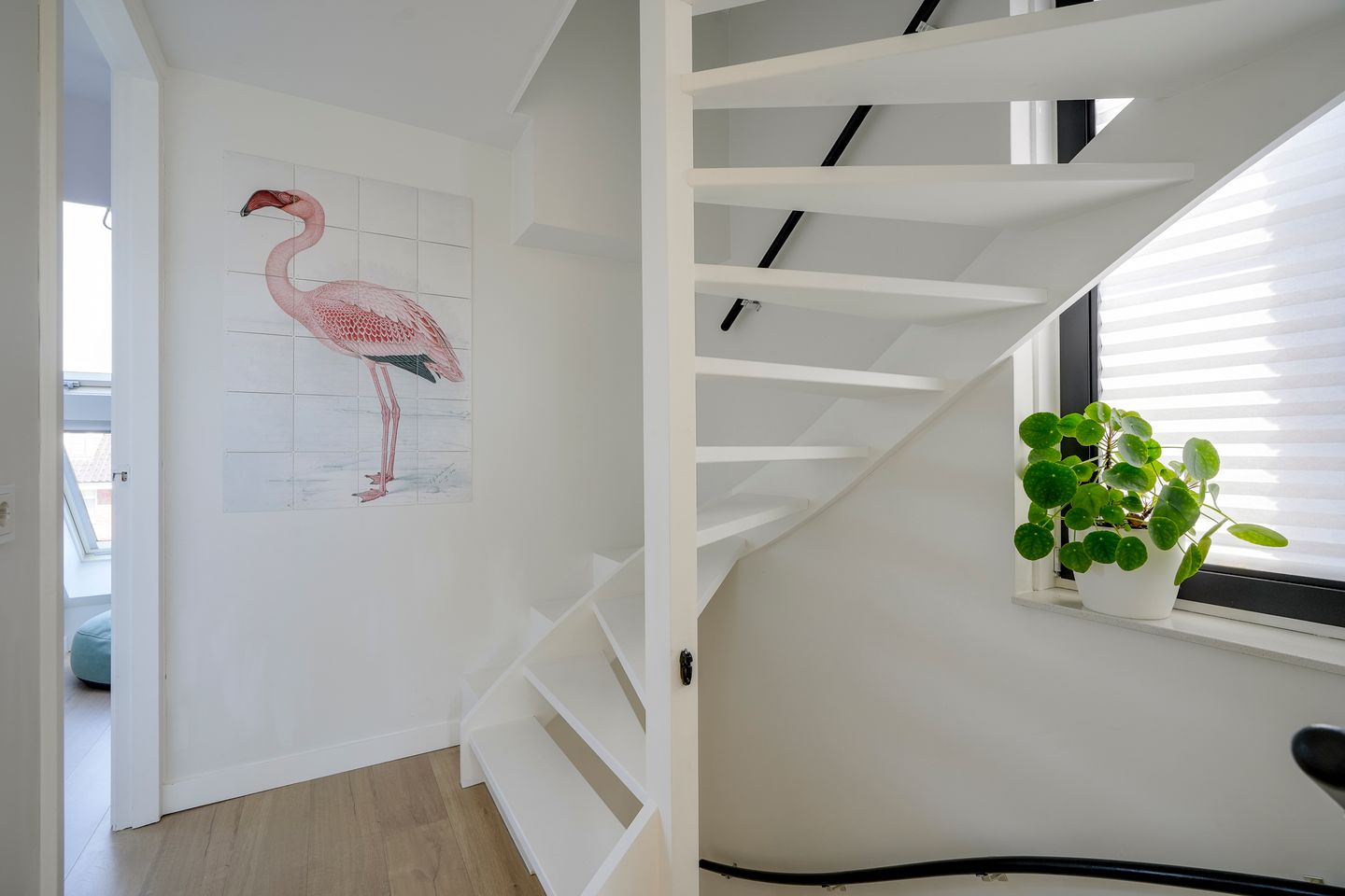 Photo 44 of Satijnvlinder 43