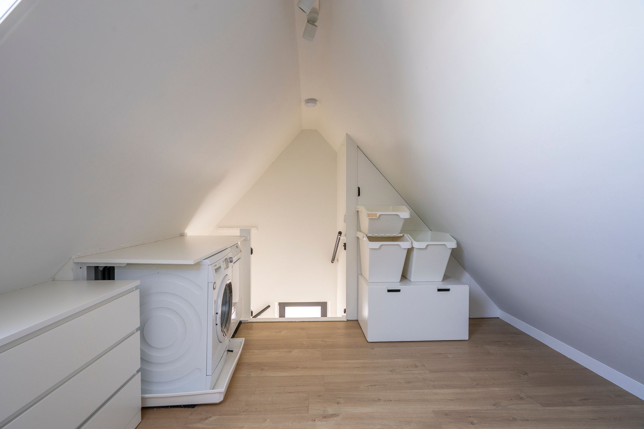 Photo 54 of Satijnvlinder 43