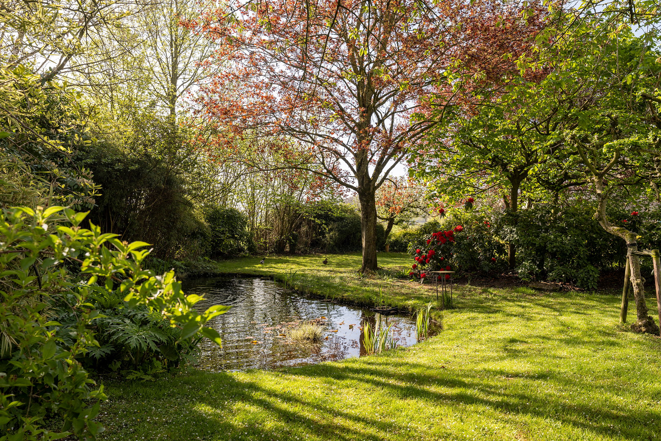 Photo 9 of Uiterdijk 4
