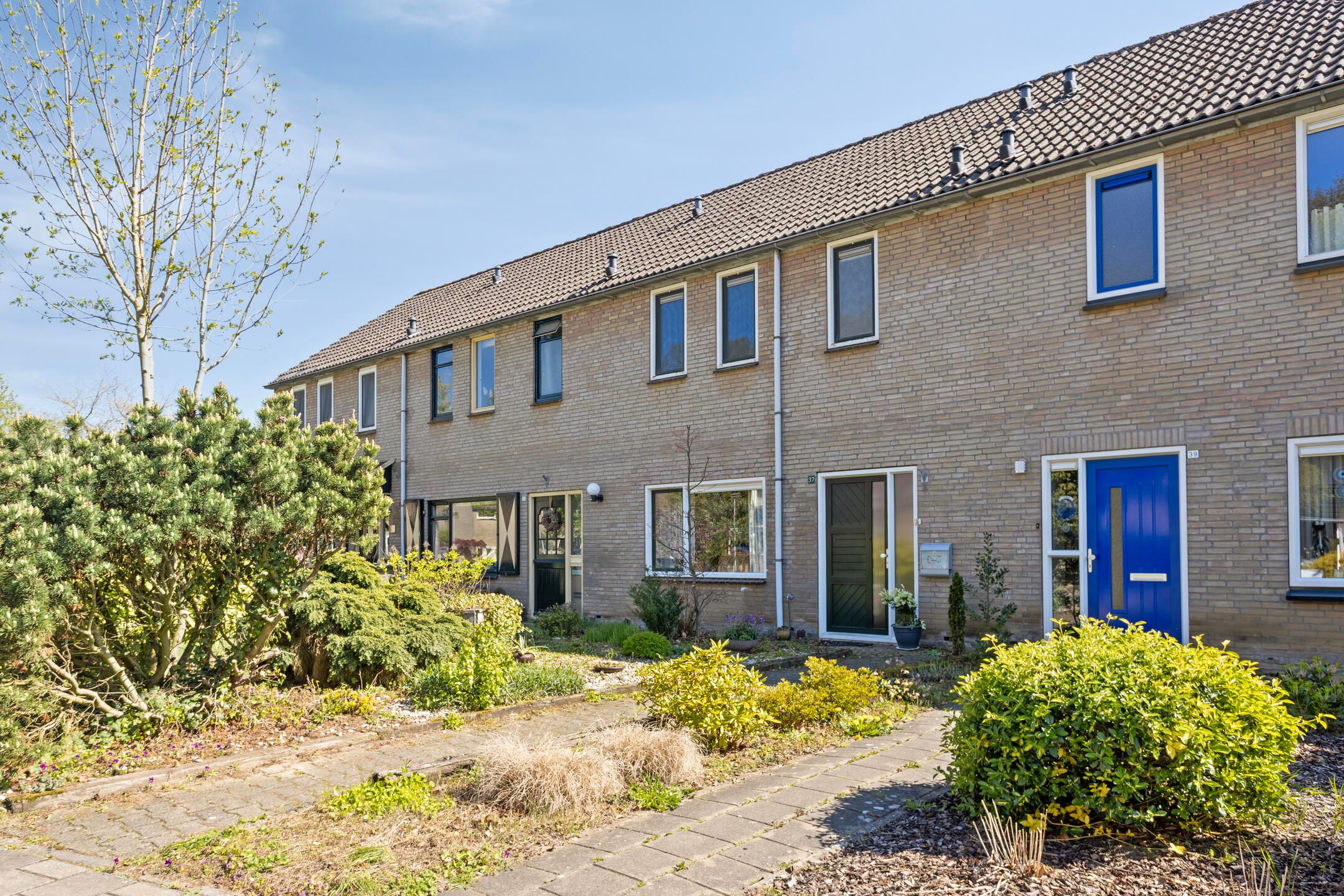 Pieter Langendijkstraat 37 