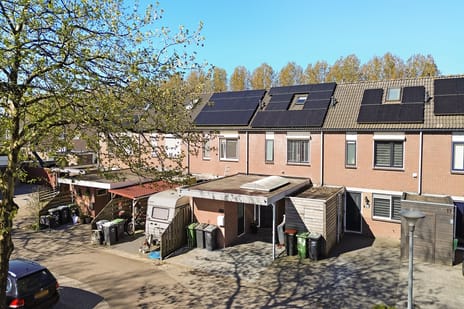 Zwaluwenveld thumbnail