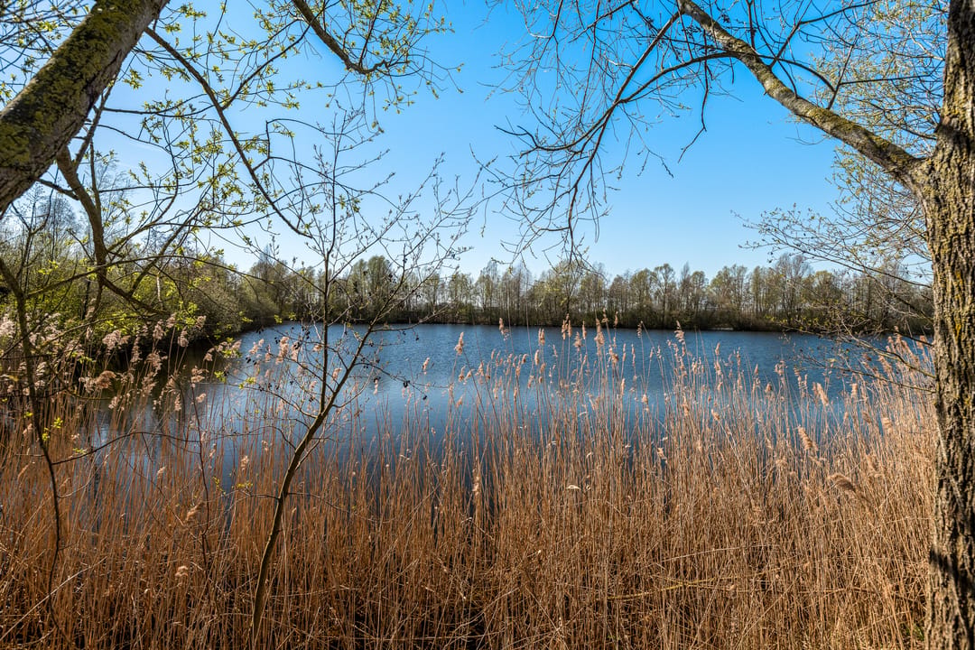 Photo 37 of Karnsberg 50