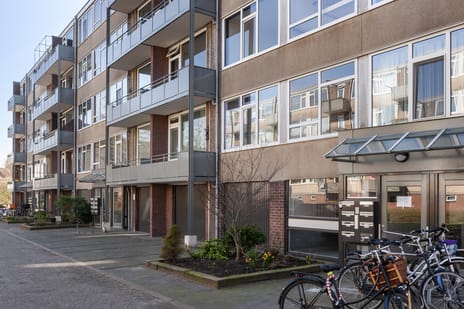Nicolaas Maesstraat thumbnail