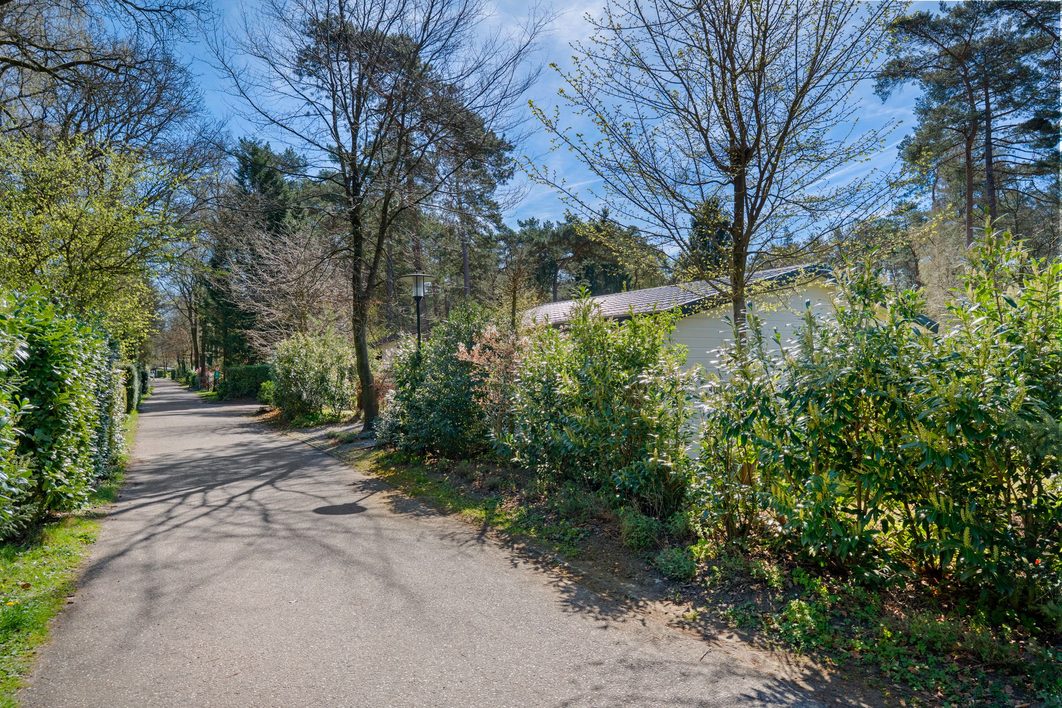 1-bedroom freehold villa in Bennekom — photo 4 of 5