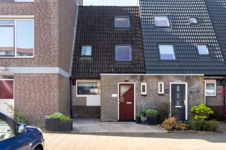 Hoefbladmeen thumbnail