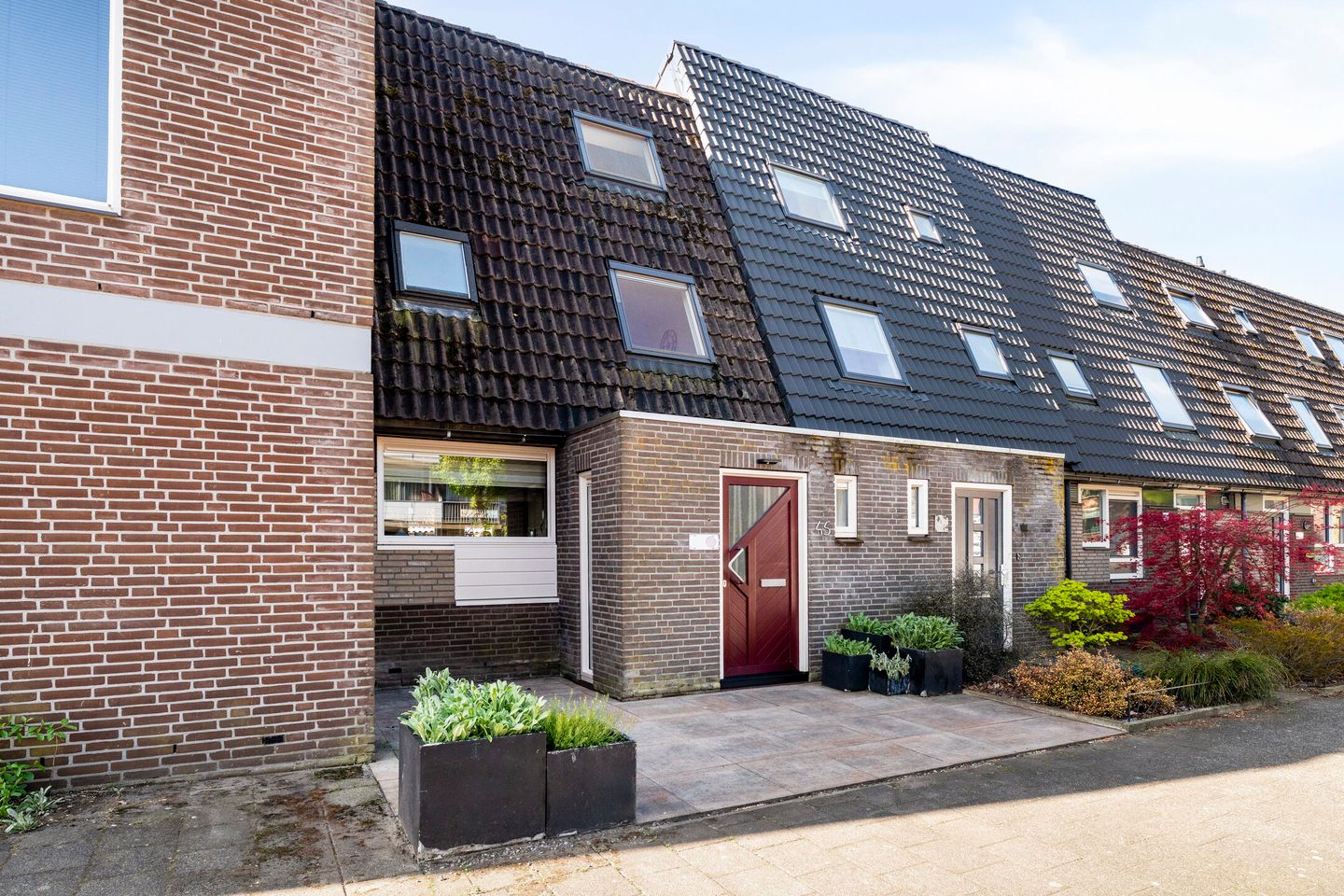 Photo 49 of Hoefbladmeen 45